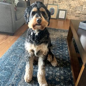 Meet your Posher, Tracy